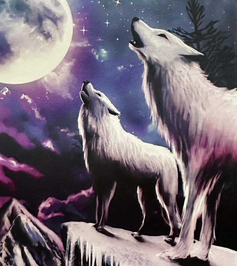 Digital Fleece 60x80 Blankets