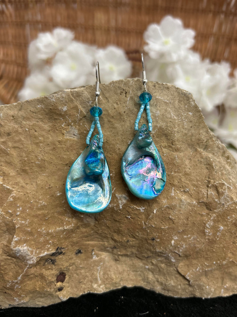 Shell Earrings