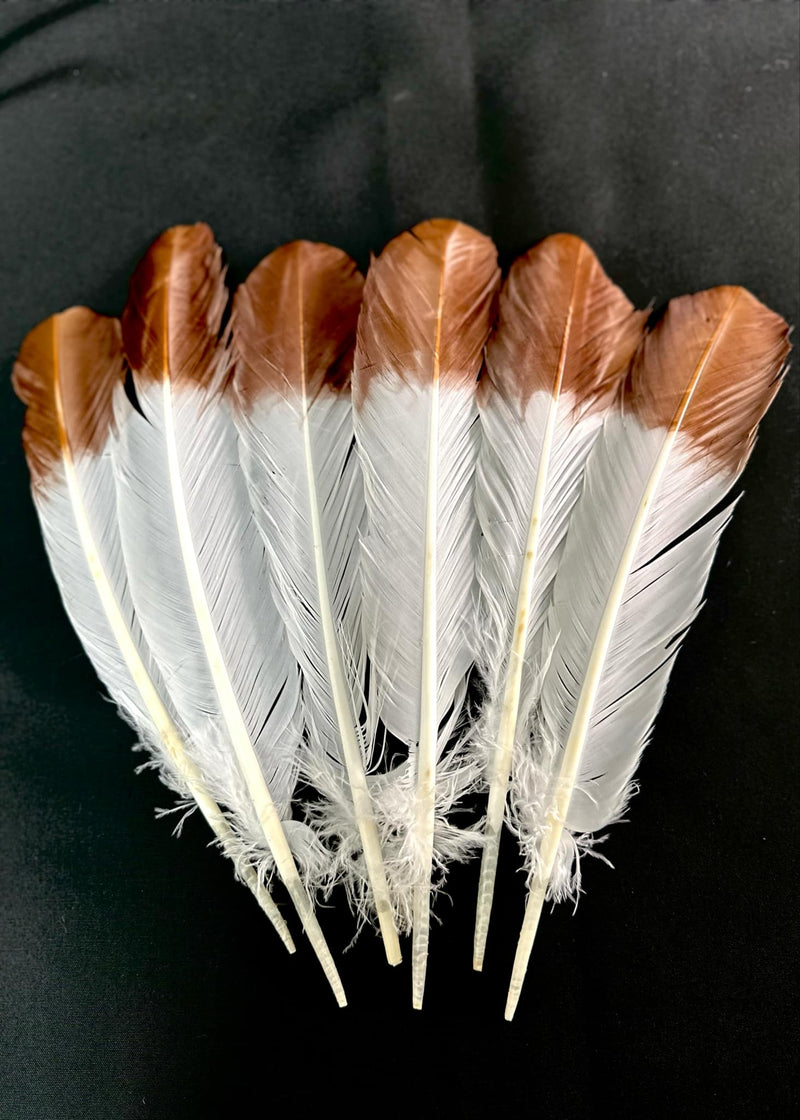Imitation Eagle Feathers