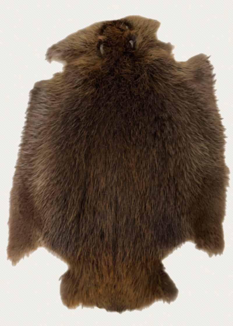 Beaver Pelt