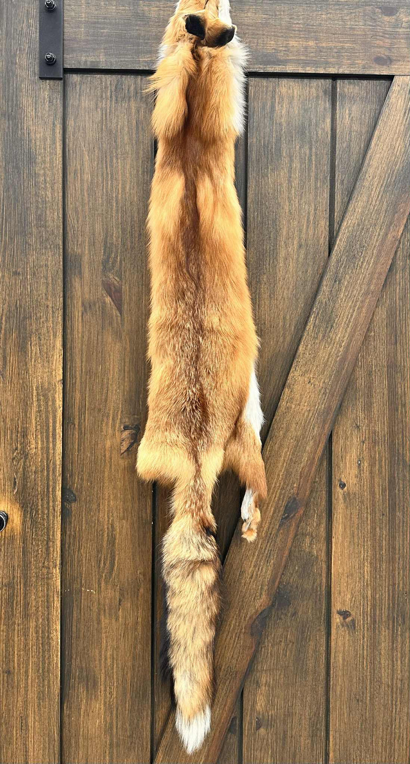 Red Fox Fur