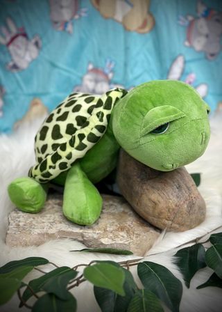 Indigenous Creatures