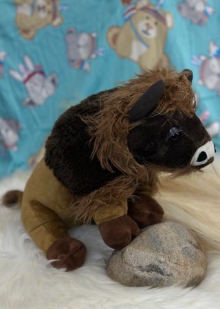 Indigenous Creatures